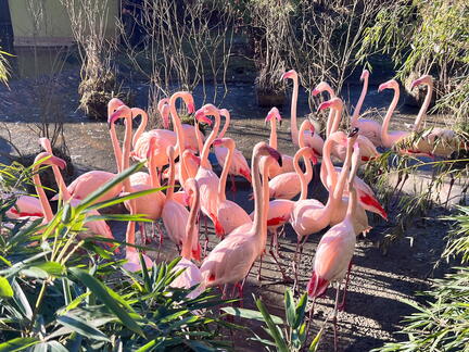 23-12-18 10-46-39 8159